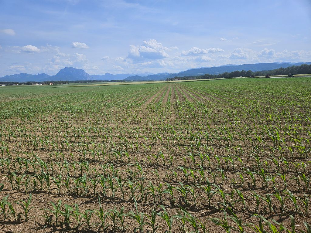 Rossfeld (275).jpg